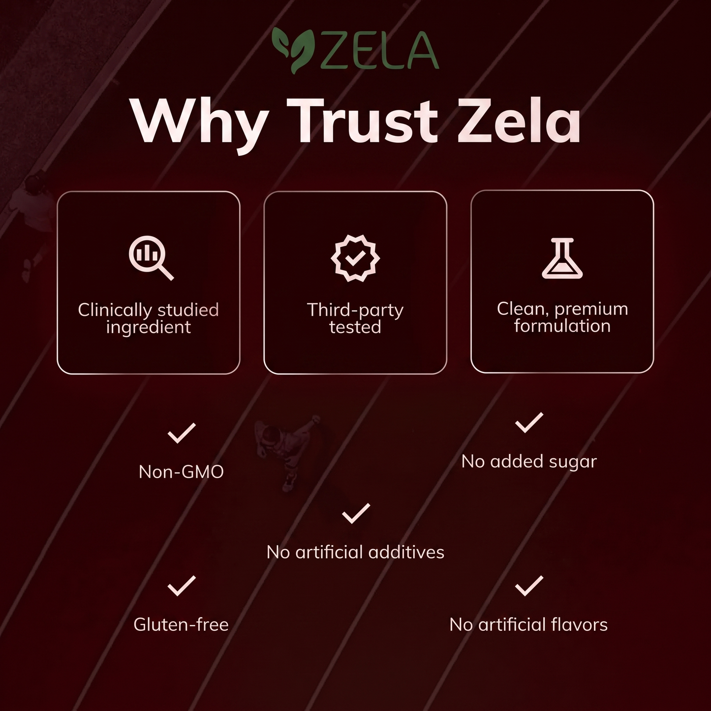 Zela Astaxanthin - Nature’s Most Powerful Antioxidant for Whole Body Support & Cellular Protection